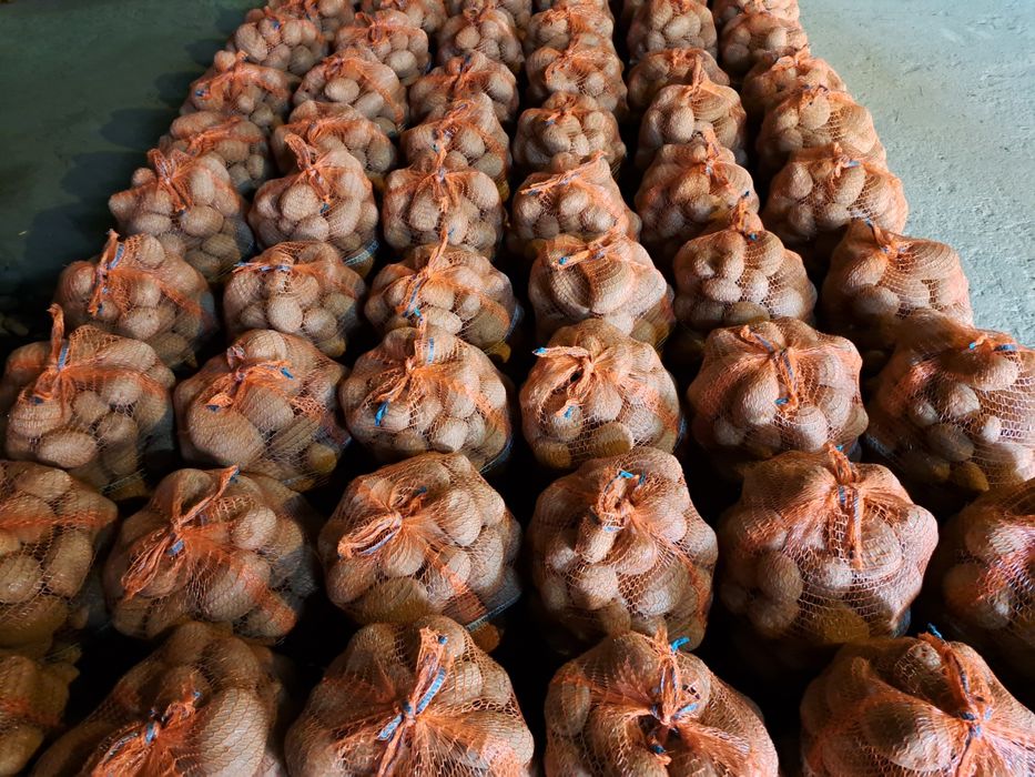 Sprzedam ziemniaki Lilly