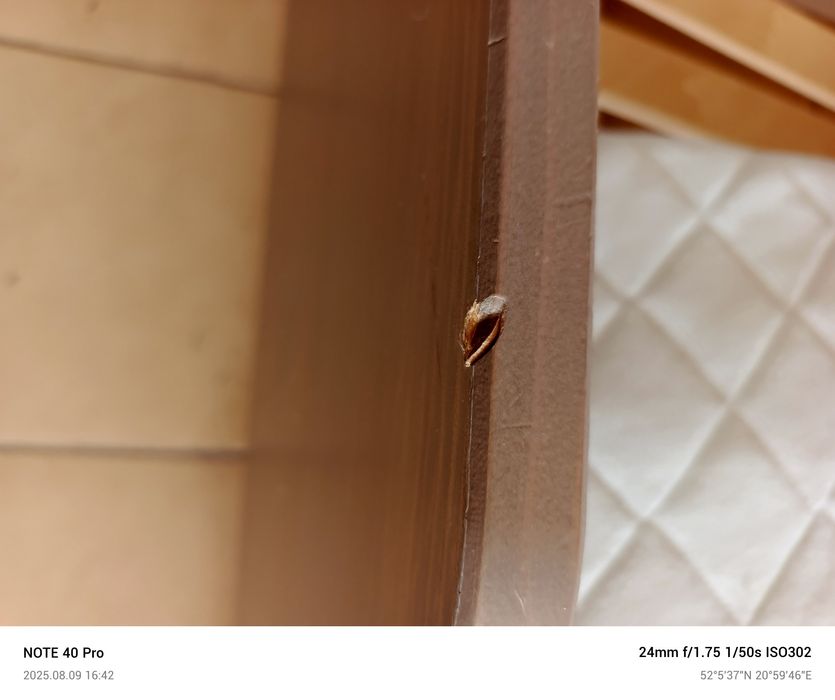 Łóżko dziecięce IKEA SUNDVIK - rozsuwane