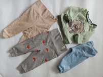 Zestaw spodenki bluza 62-68