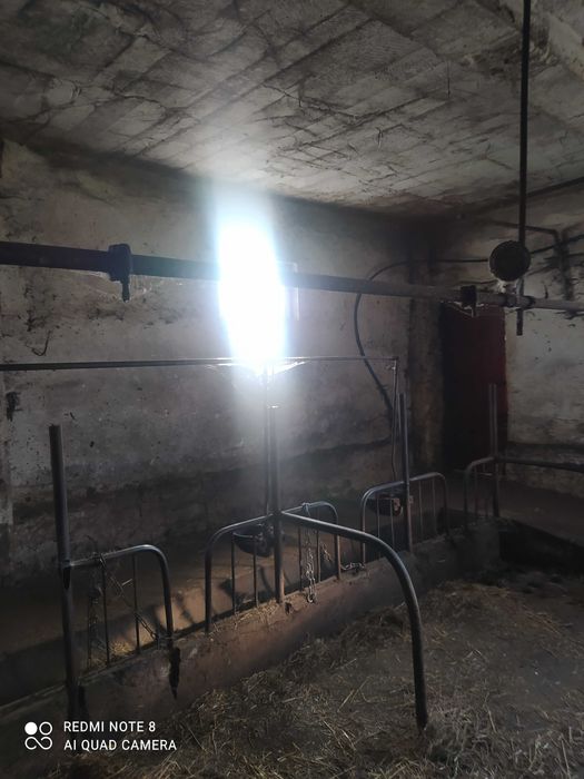 Sprzedam poidła dla bydła