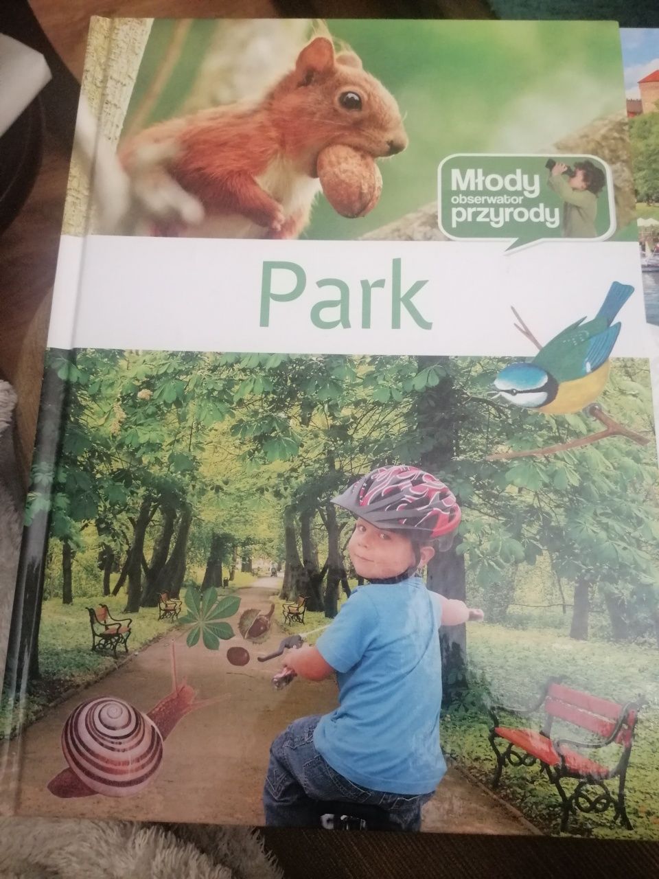 Park książka dla dzieci młody obserwator przyrody