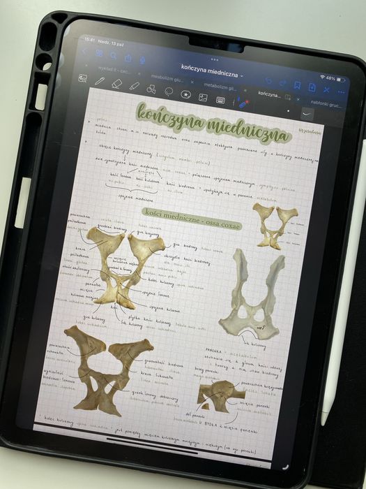 Anatomia zwierząt - notatki z anatomii z pierwszego roku weterynarii