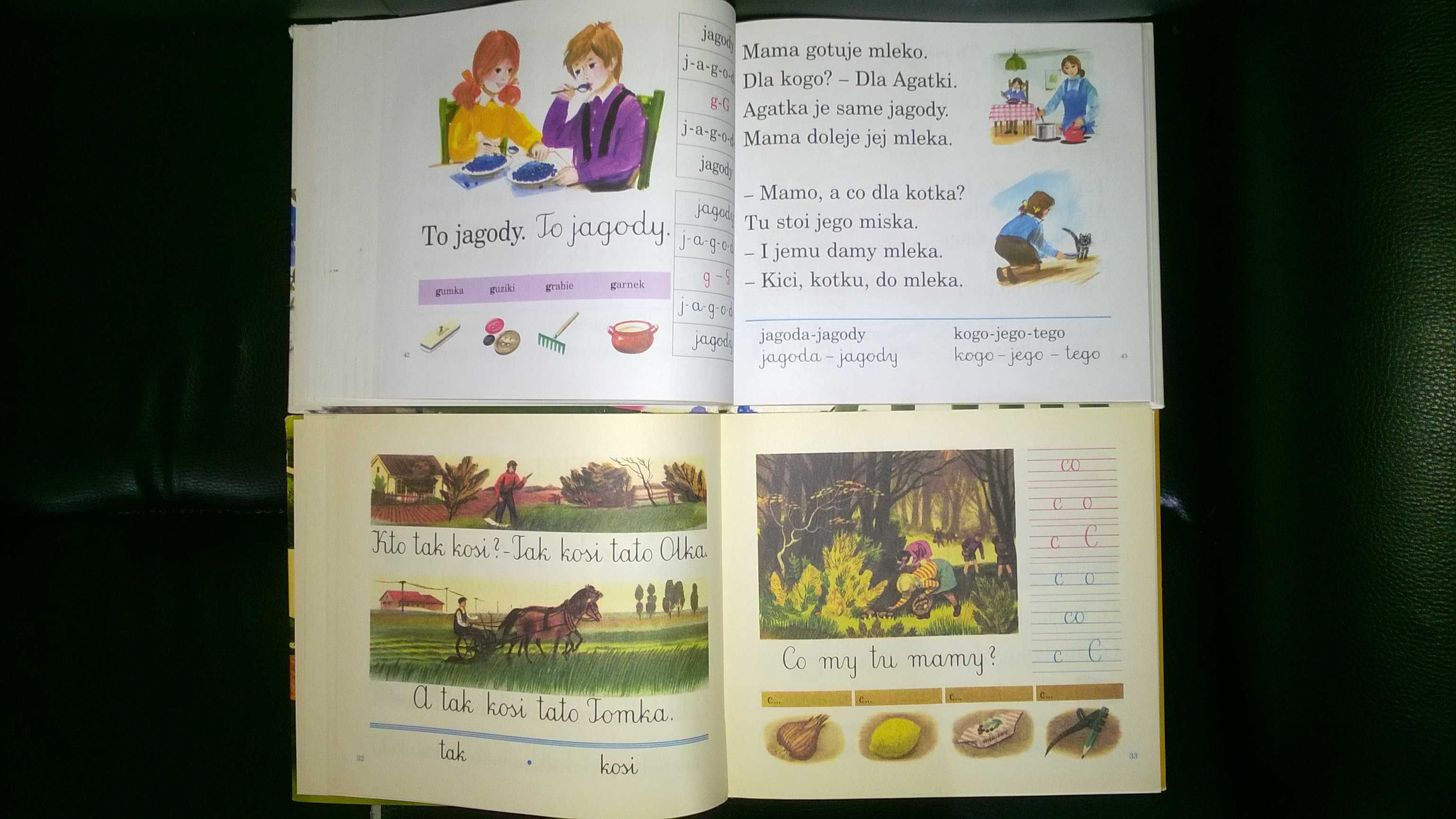 Książki Elementarz Marian Falski nie wysyłam