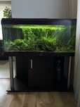 Akwarium marki Diversa 300l