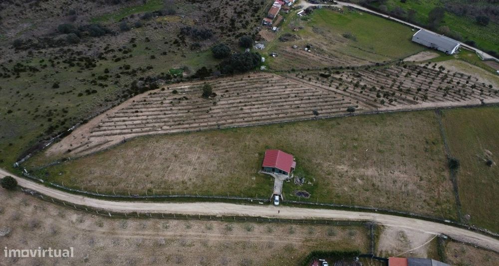 Terreno com arvores de fruto e uma construção, em Miranda do Douro.