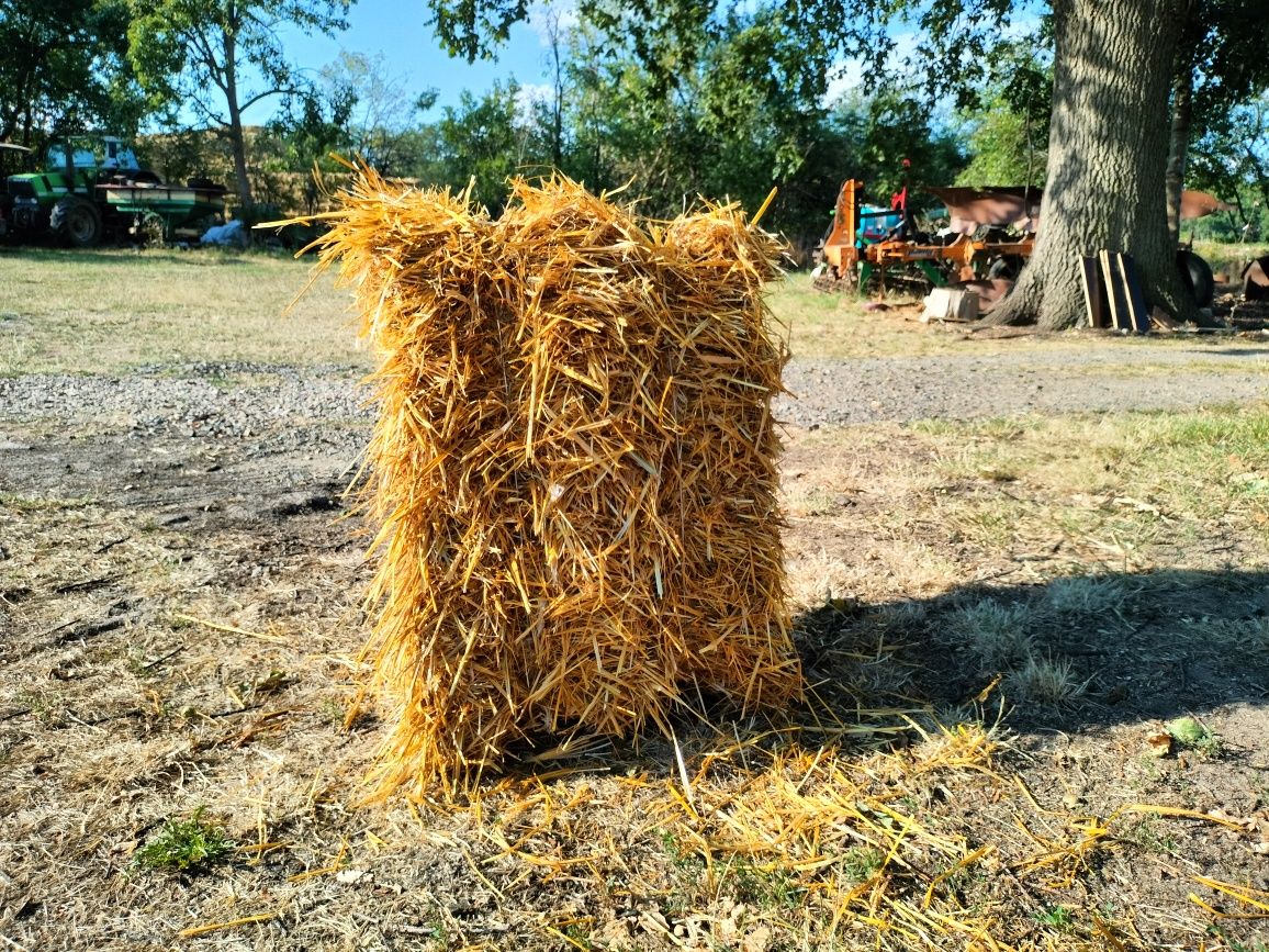 Słoma kostka dla konia, ściółka