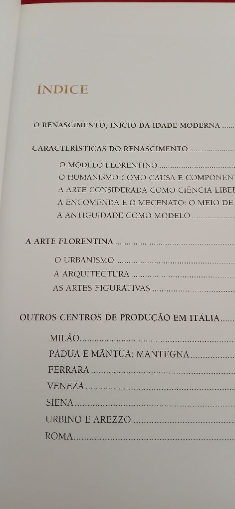 O Despertar do Renascimento