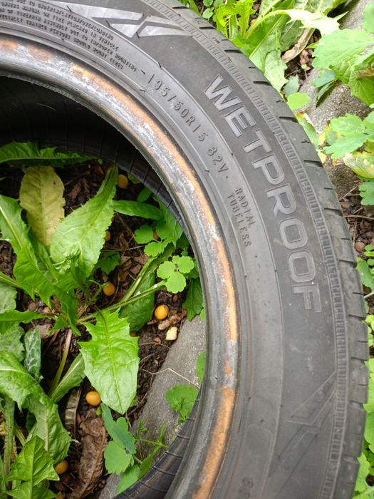 Opony Nokian wetproof 195/50R15