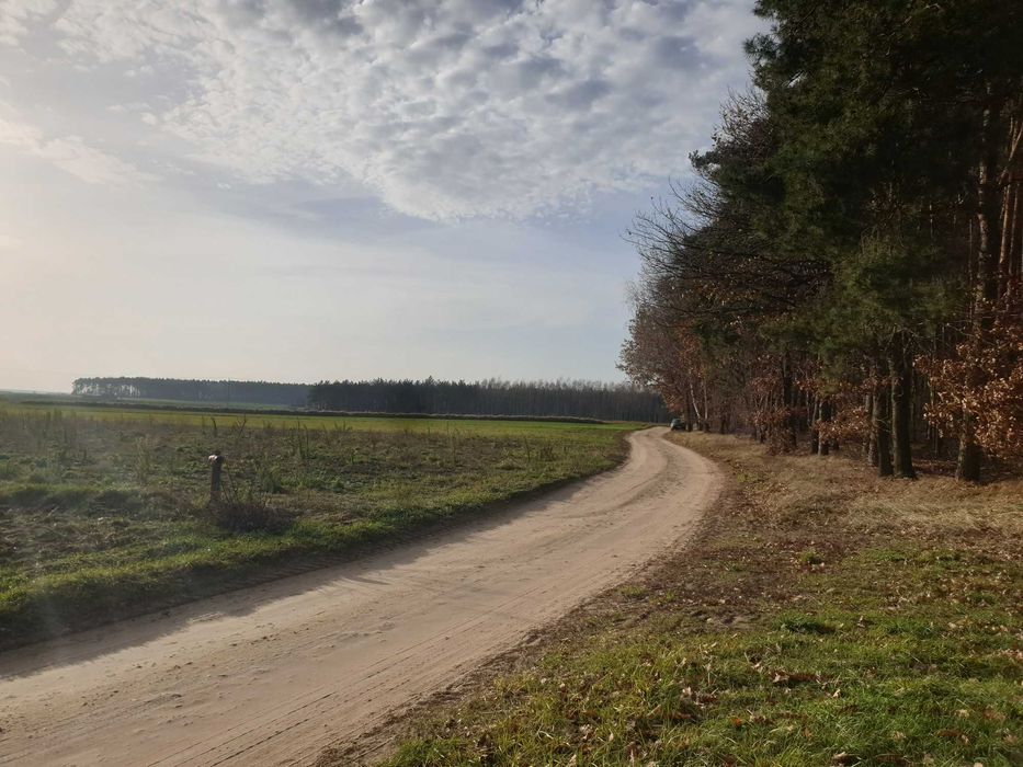 Działka budowlana Radziki Duże przy lesie