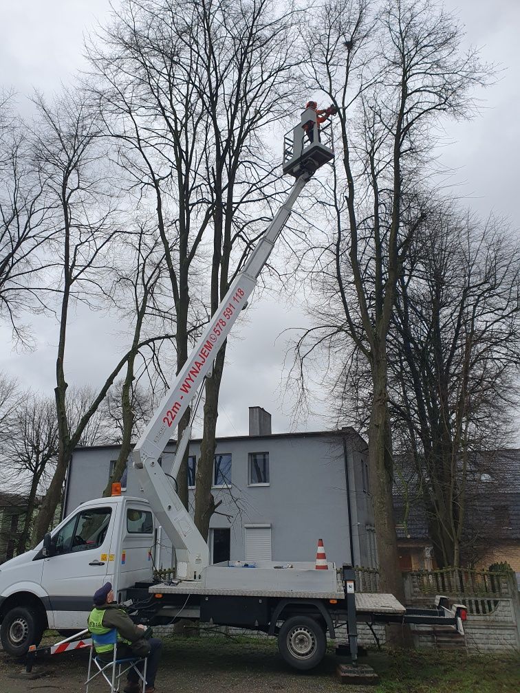 Podnośnik koszowy zwyżka wynajem usługi