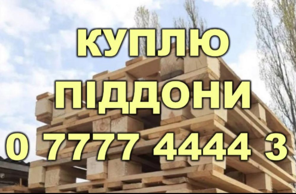 Піддон деревʼянний 800/1200; 1000х1200