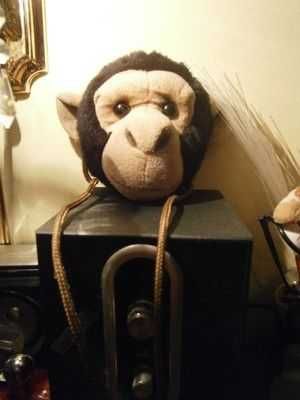 міккі маус,кішка,качка,пан Коцький та інші