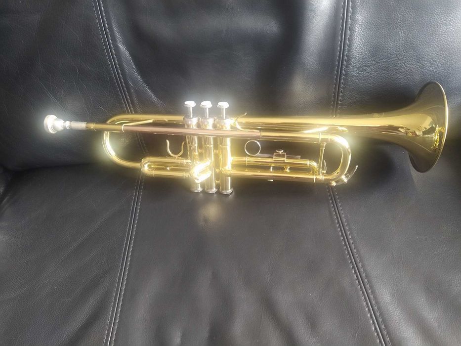 Sublime antigo trompete Nobel Miller