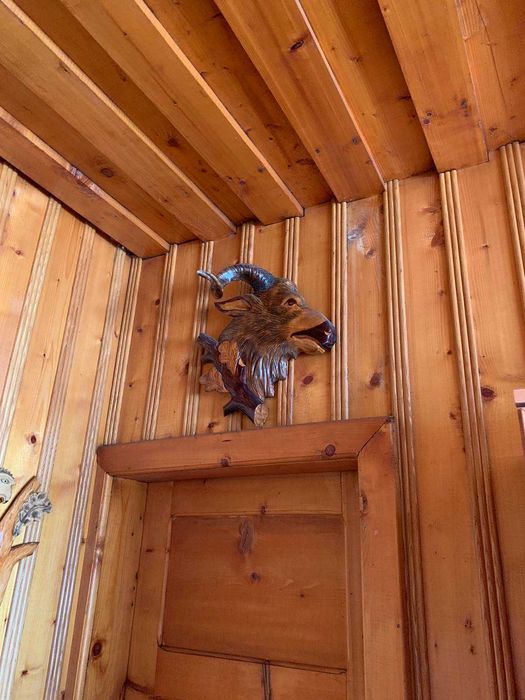 Продям роги оленя.