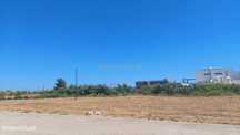 Terreno 2500M2 | Faro | Bom Acesso Á Estrada N125
