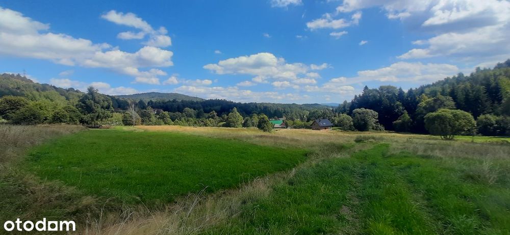 Słoneczna działka przy lesie, budowlana, 8 ar