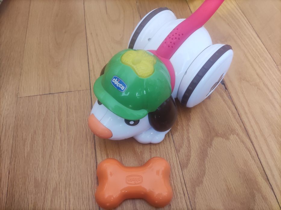 Cão detetive da chicco