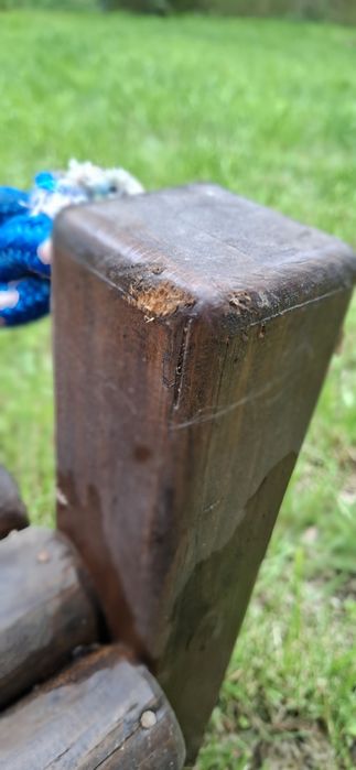 Mostek drewniany dla psów szczeniąt