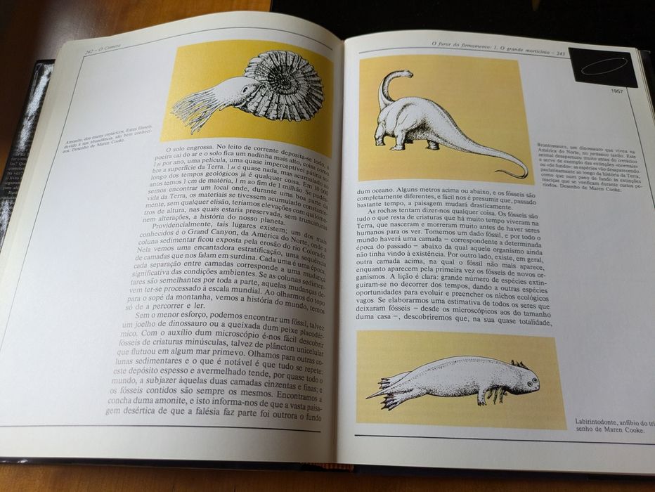 Cometa de Carl Sagan e Ann Druyan