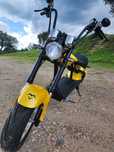 Mota Elétrica estilo Harley
