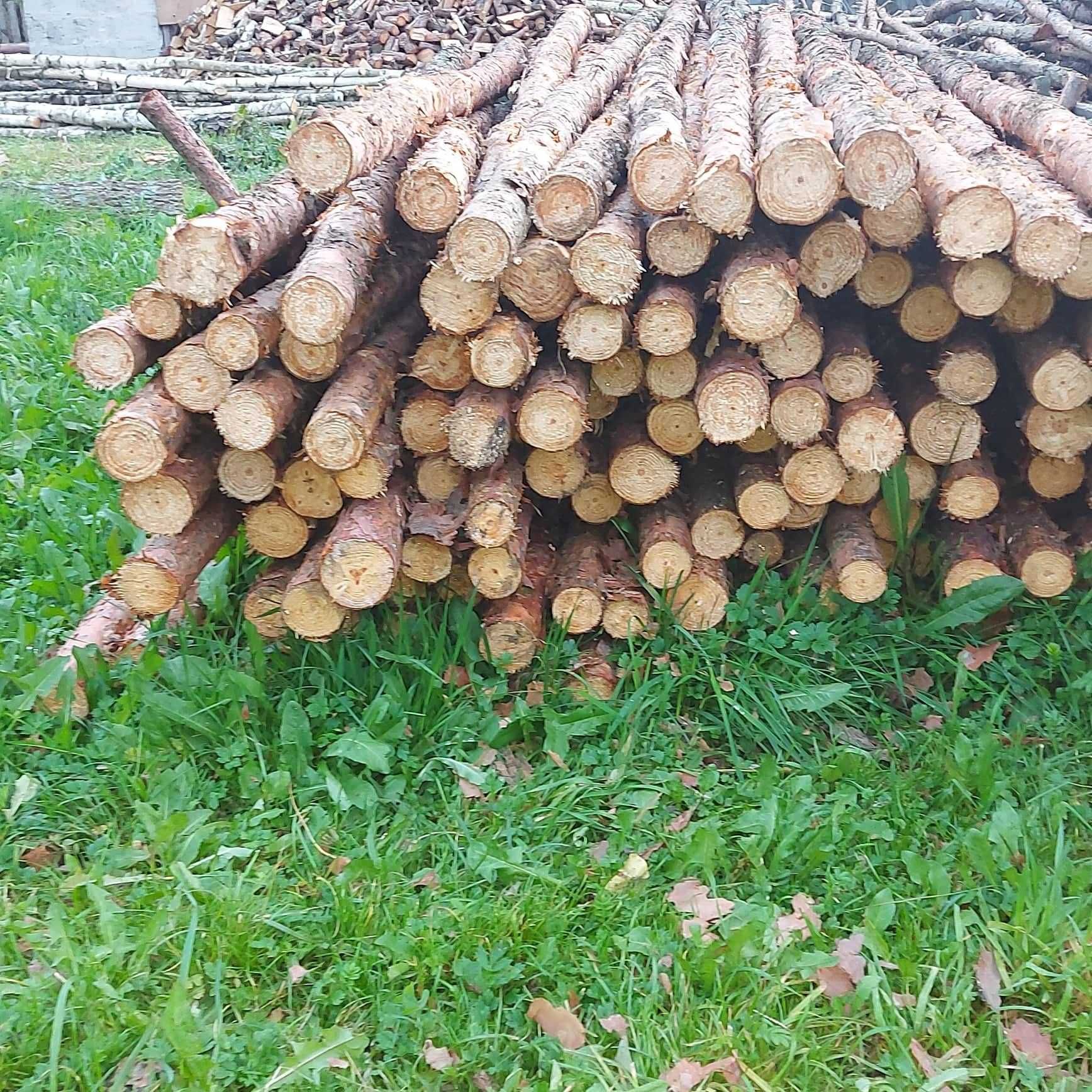 Słupki do siatki leśnej ogrodzeniowe