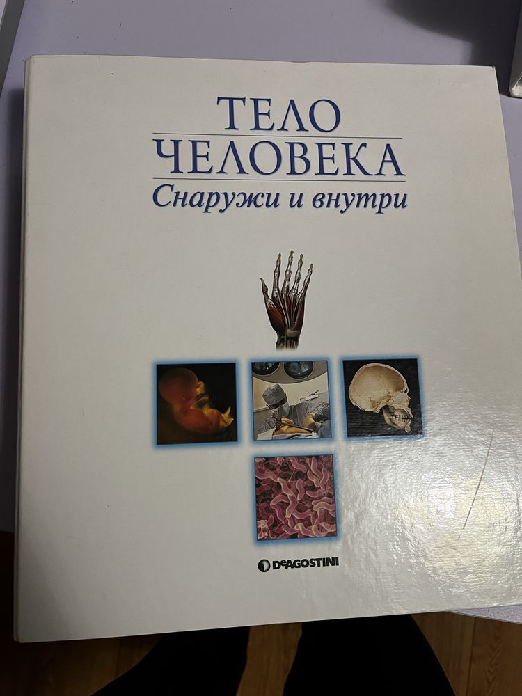 Тіло людини ч 3 ( Тело человека)