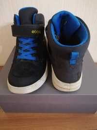 Ecco Urban Snowboarder