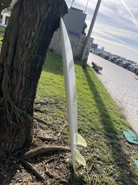 Manila twin fish 5,6