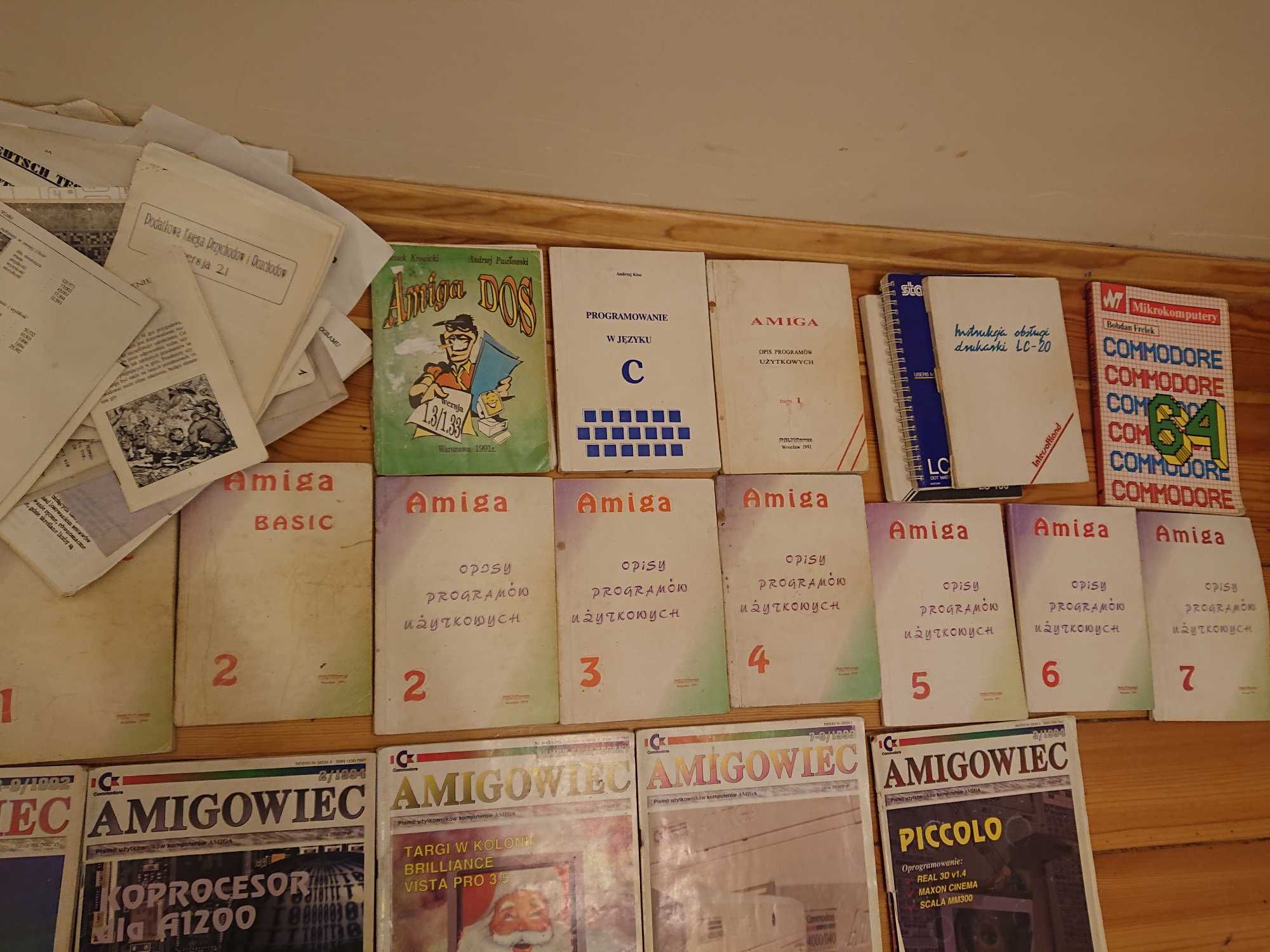 Amigowiec Bajtek