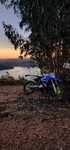 Yz 250 lc  de 99