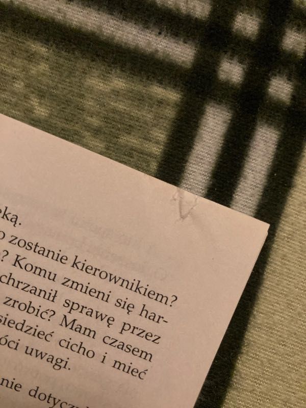 flirty bez znieczulenia lisa cach literatura w szpilkach