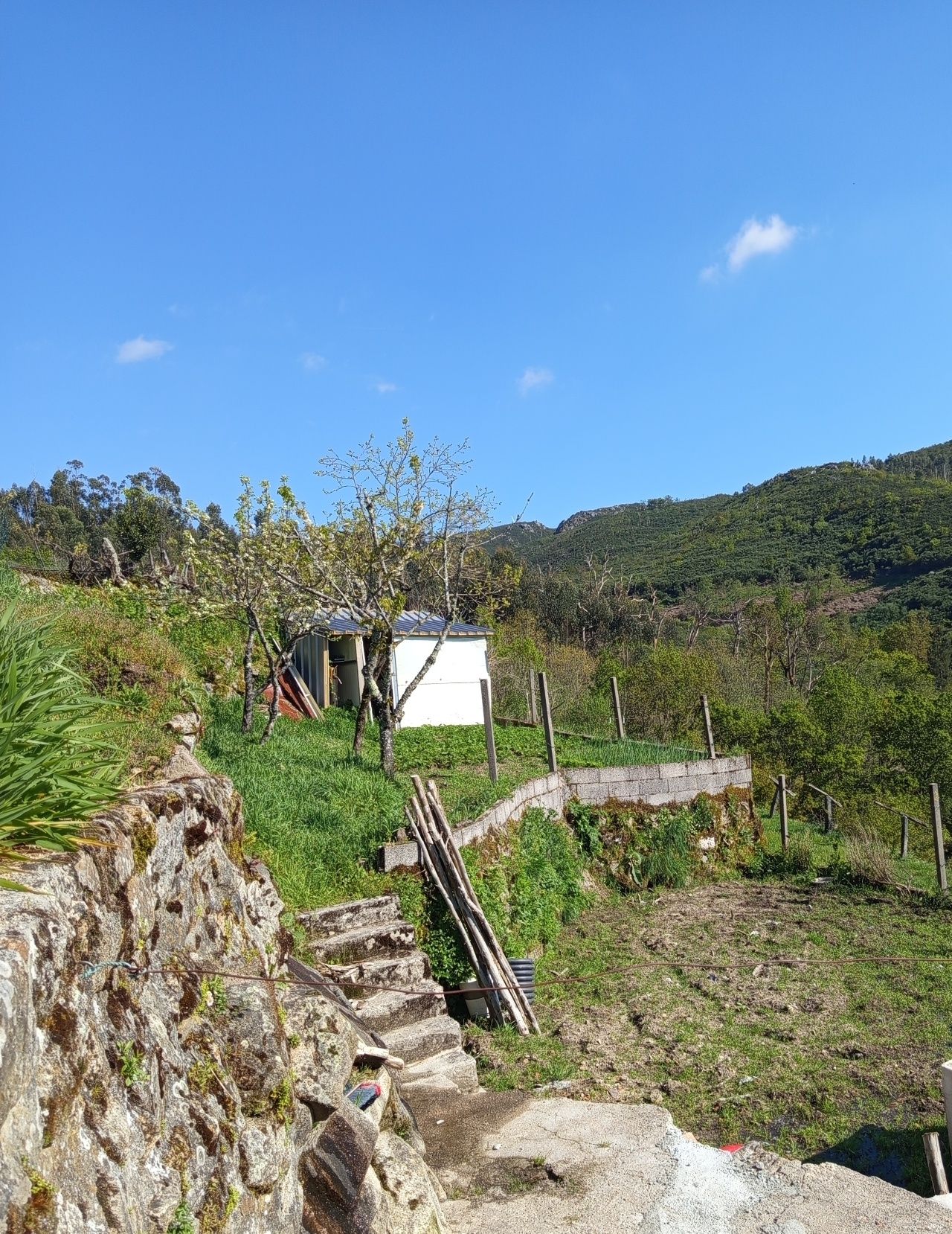 Moradia T2 Vouzela
