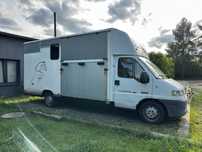 Koniowóz peugeot boxer lub zamienie na konia