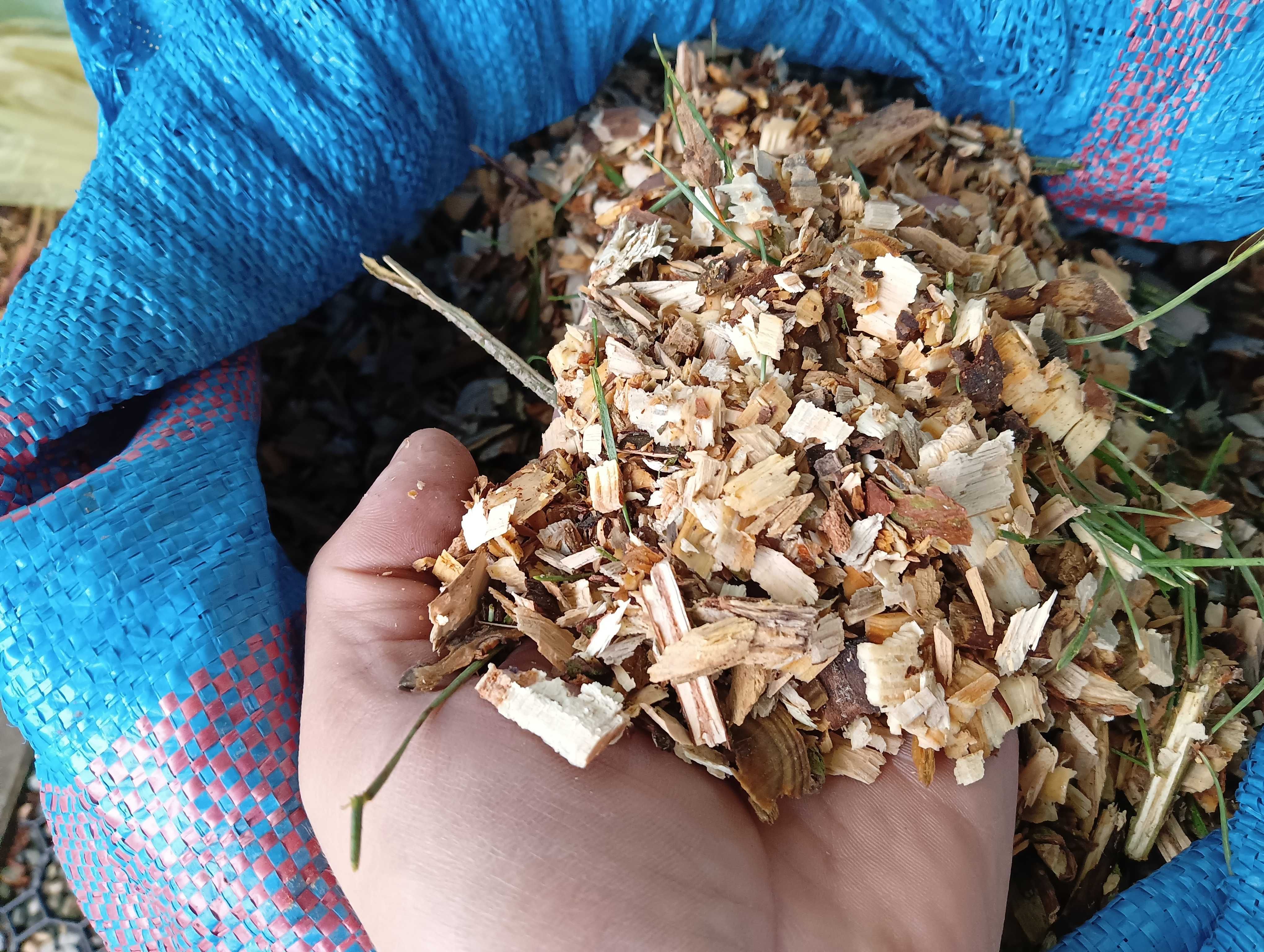 zrębka sosnowa drewno mielone podsypka kompost