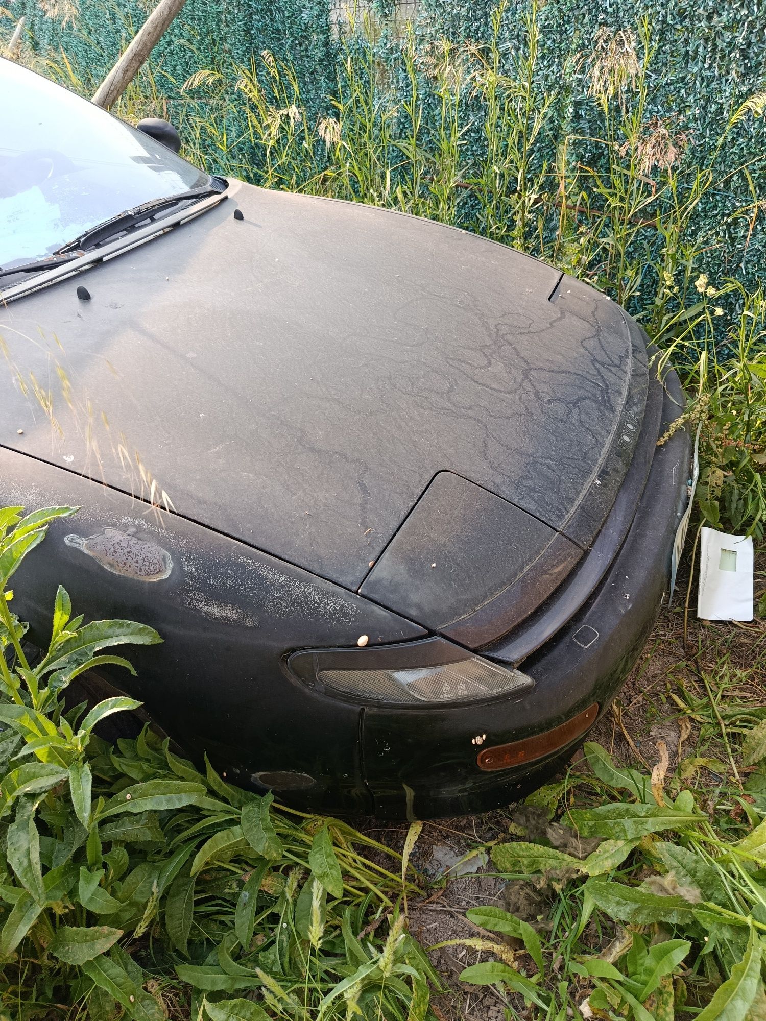 Maltinha dos Toyotas celica 2000cc