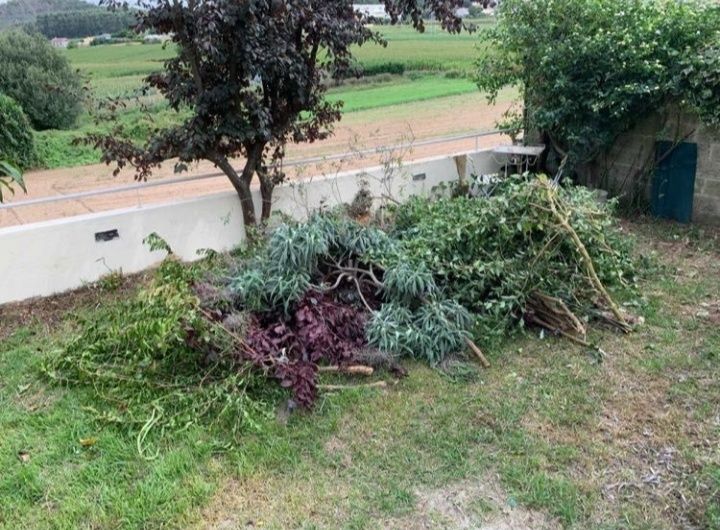 Jardinar 100 complicar - serviços jardinagem