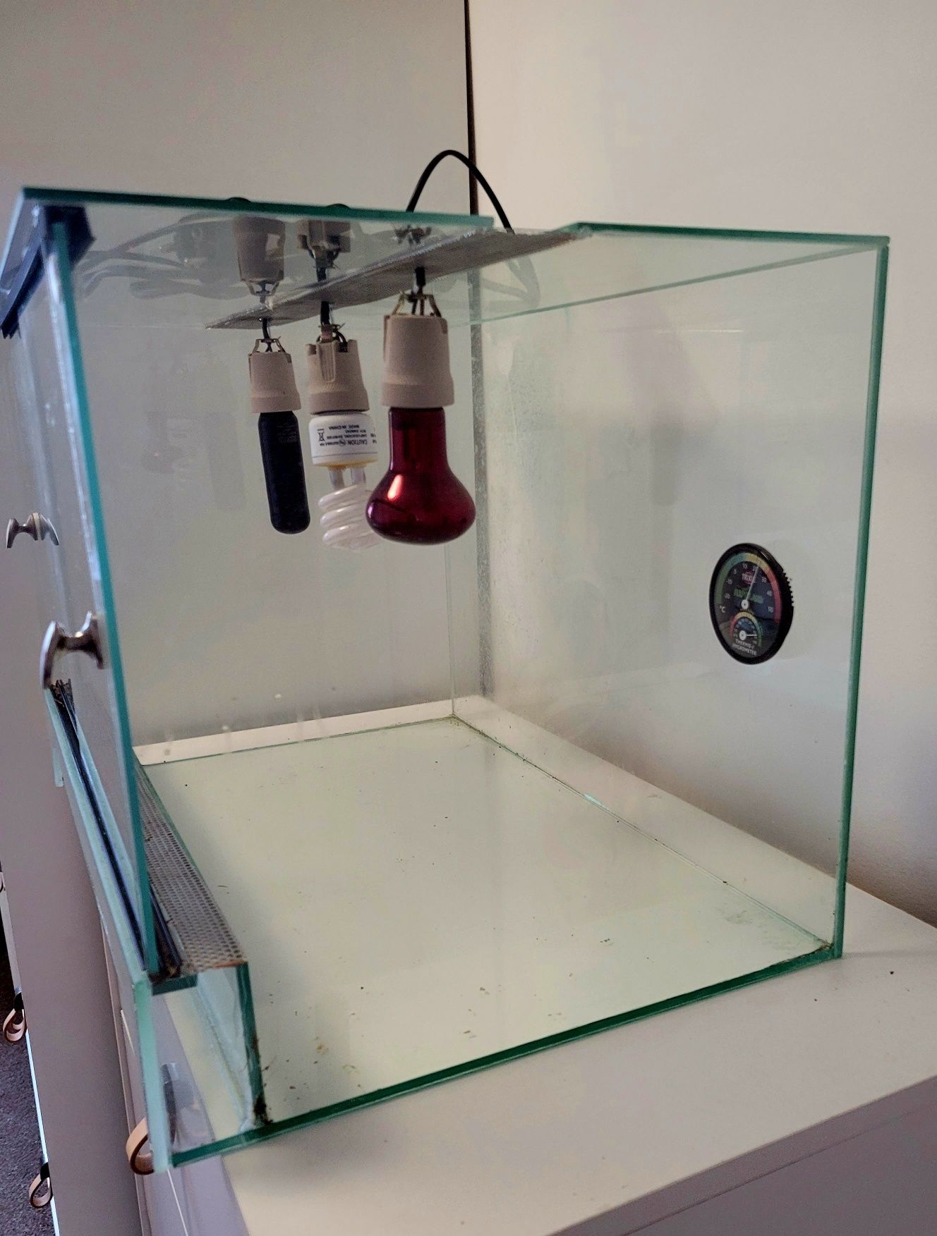 Terrarium z lampami