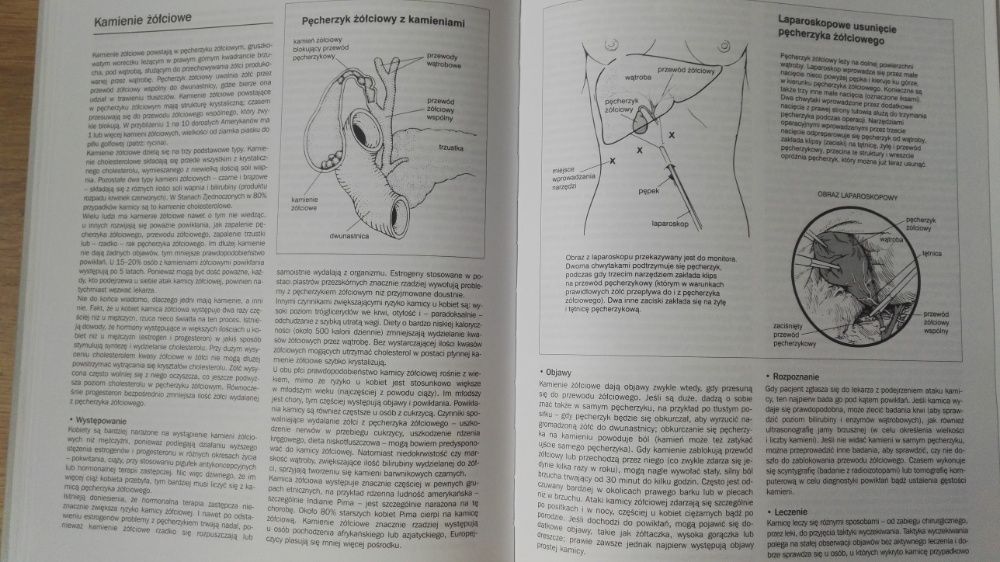 Harwardzka encyklopedia zdrowia kobiety - Karen Carlson