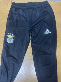 Calças Benfica (Adidas) tamanho S