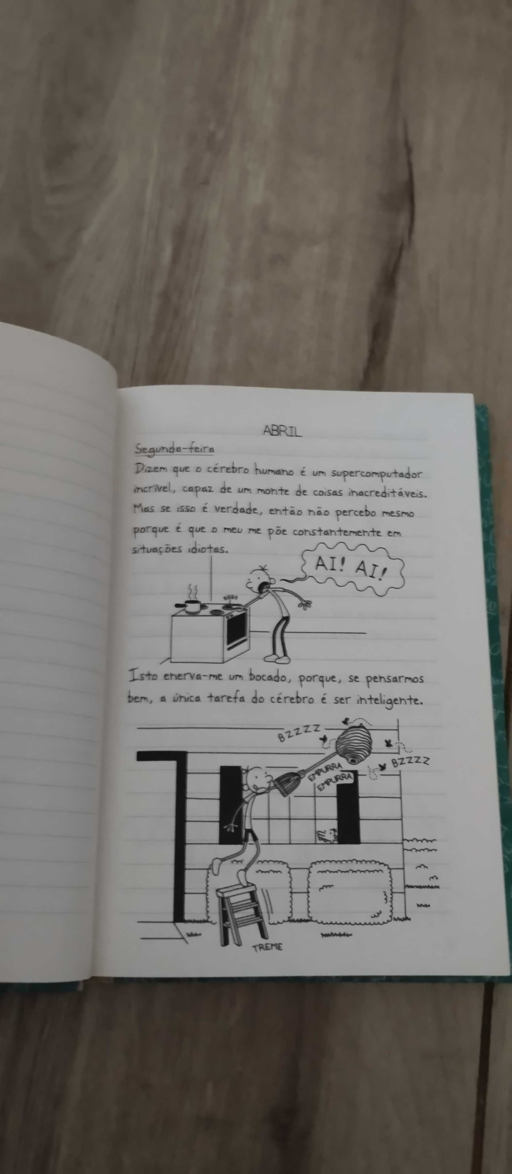Livro o Diario de um banana