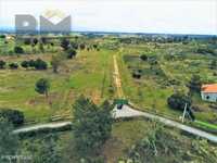 Quinta  Venda em Castelo Branco,Castelo Branco