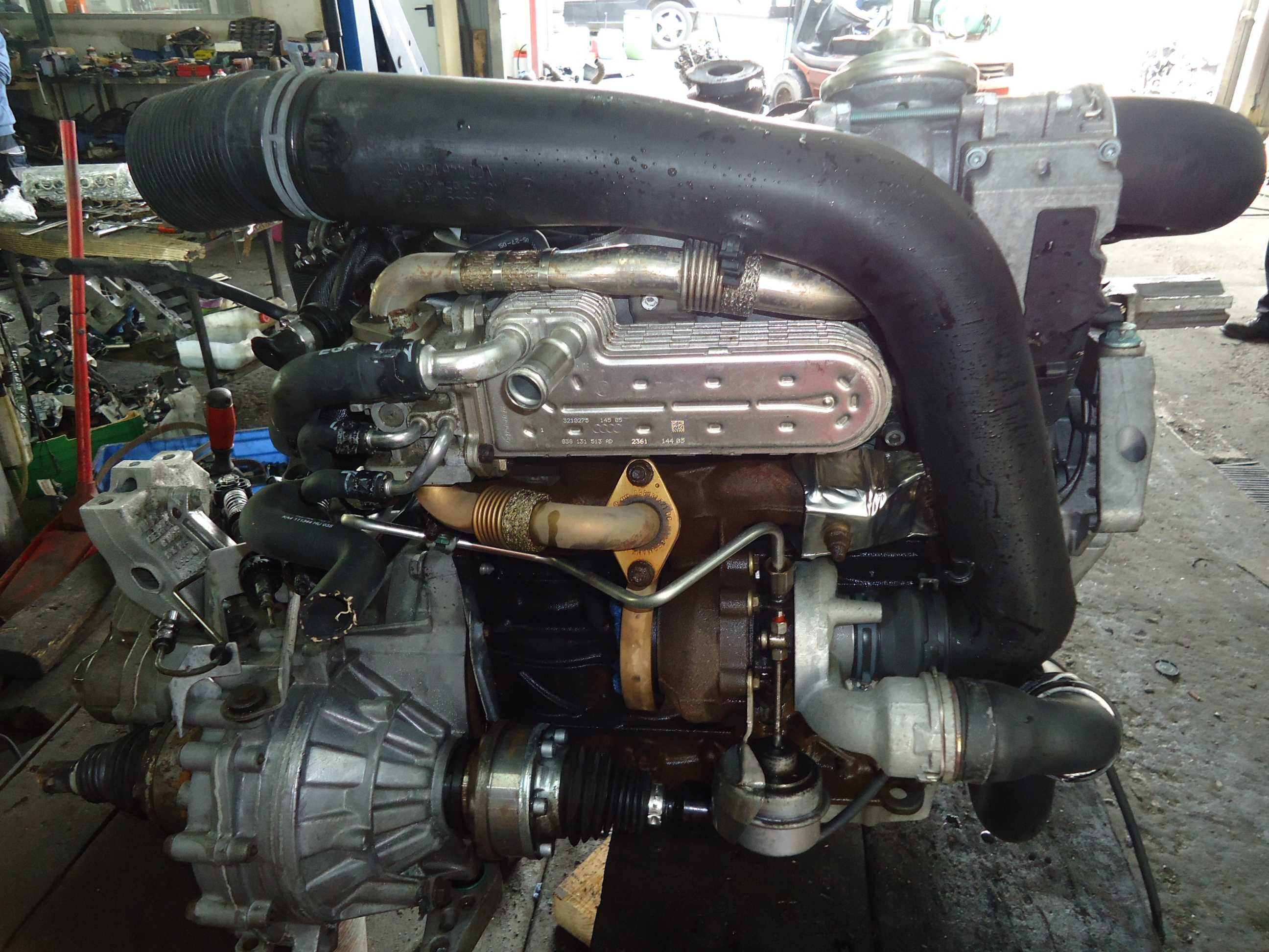 Motor Vw 1.9 Tdi 105cv (BKC)