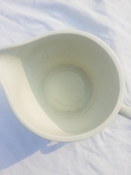 Mlecznik sosjerka Włocławek porcelana