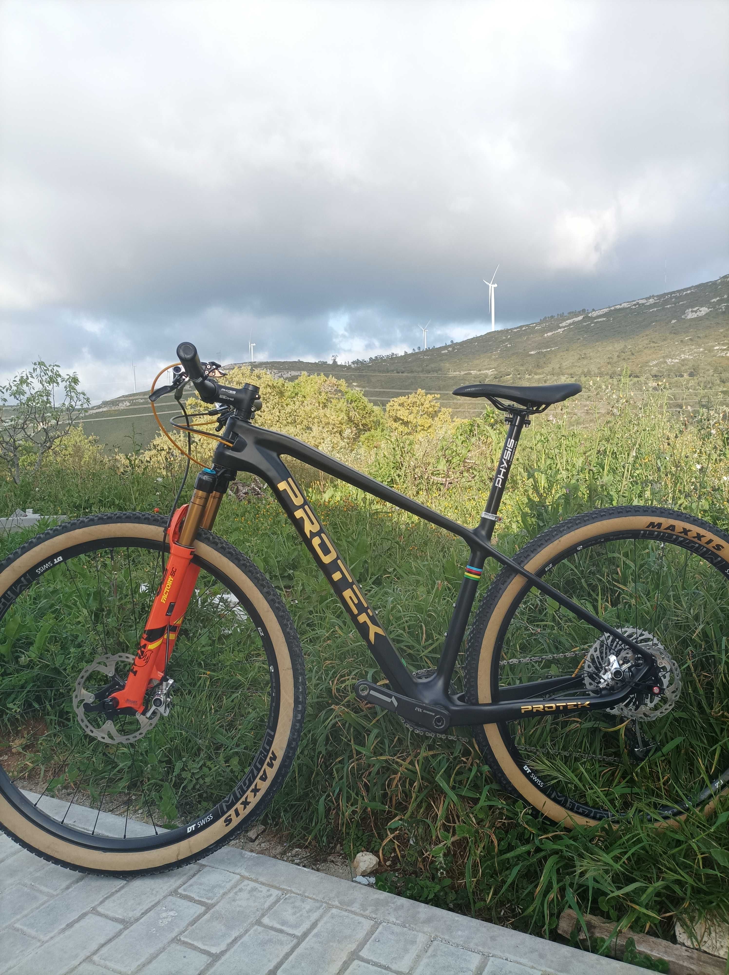 BTT Protek 29 Boost carbono