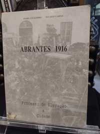Abrantes 1916 Processo de Elevação a Cidade