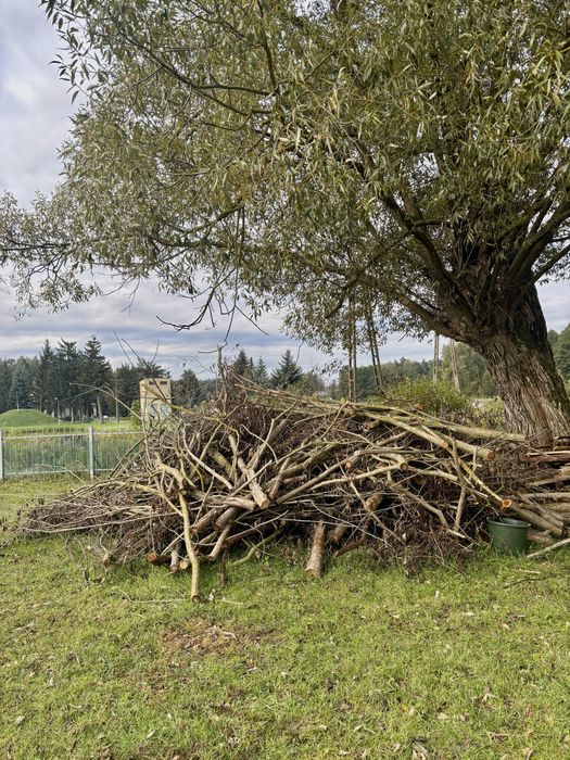 Gałęziówka, drewno na opał