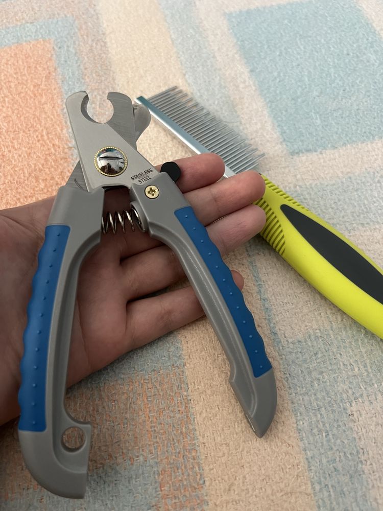 Acessórios para cães
