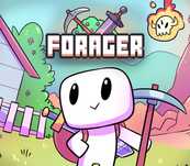 Forager US Nintendo Switch CD Key