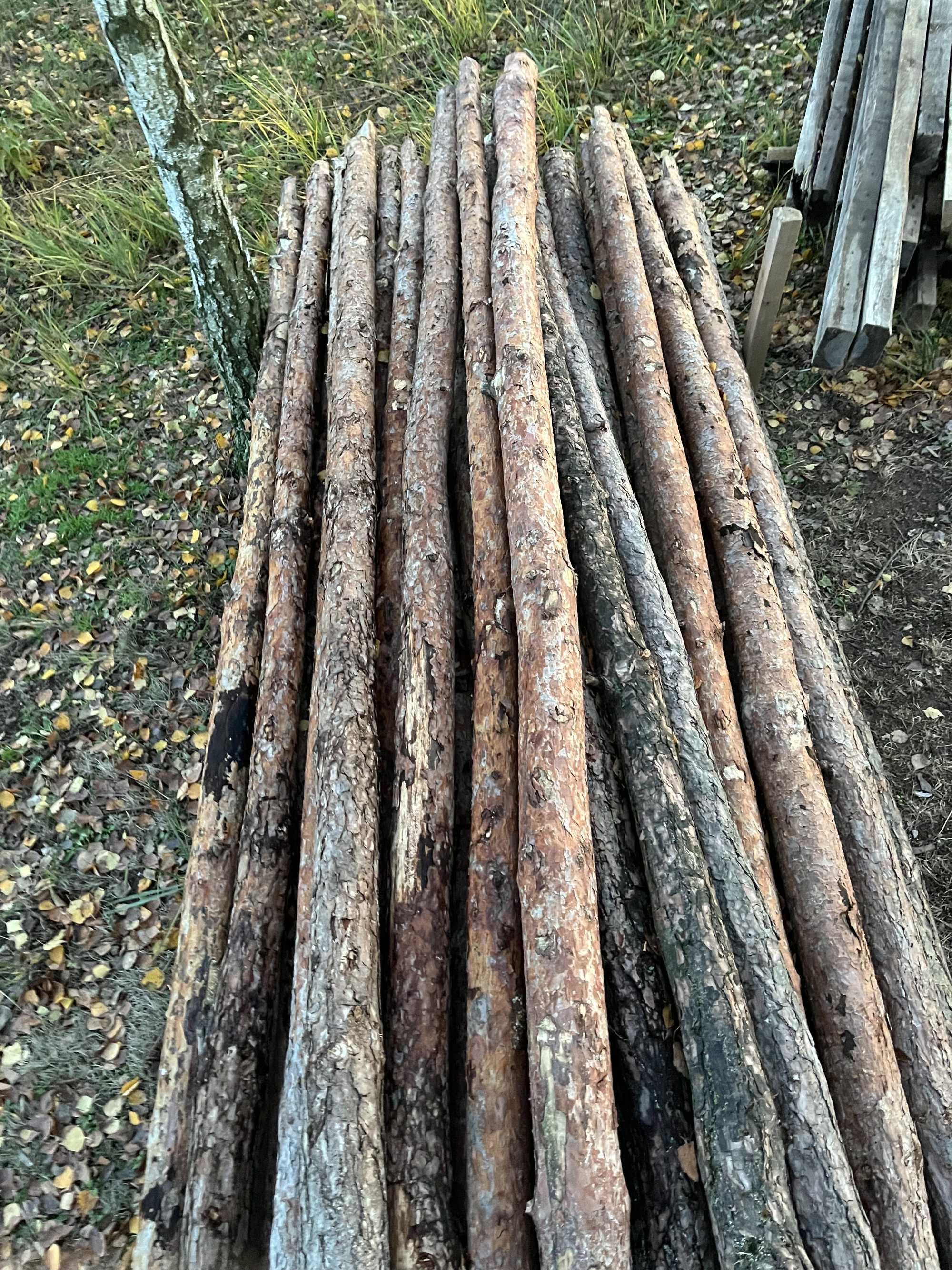 Stemple 71 sztuk 2,9m