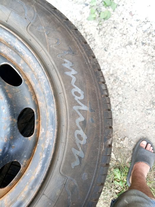 Белшина Artmotion Бел-261, 195/65 R15 91H з металевим диском